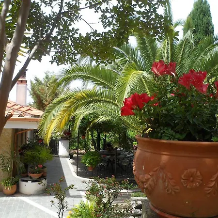 ベッド・アンド・ブレックファスト El Dueno